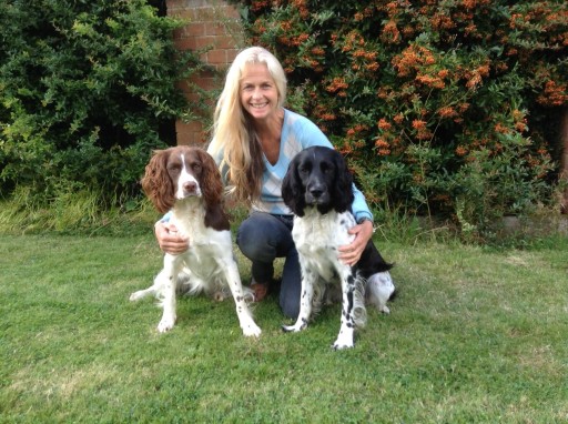 Dog kennels with a difference, home boarding in my country house, secure paddocks, always with me