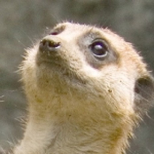 image0