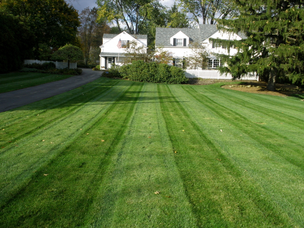 Lawn Care Youngsville NC Lawn Service Youngsville, NC, 27596