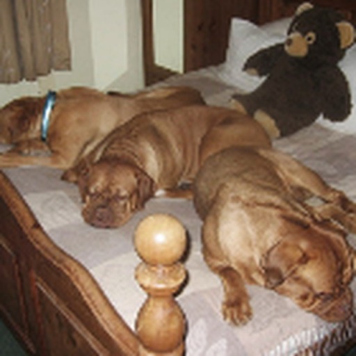 image1