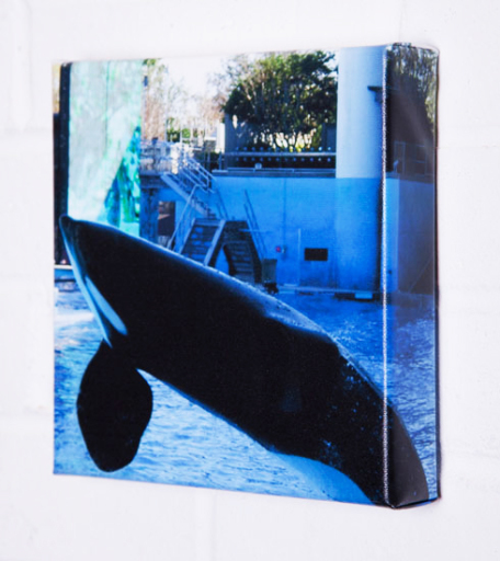 Canvas Printing and Framing - Your photo or choose one of ours.