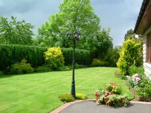 Lawn Maintenance