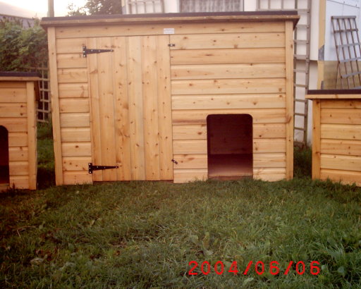 Dog Home