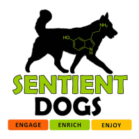 Sentient Dogs Training & Walking Services