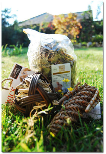 4 Little Paws - natural toys and treats for little pets