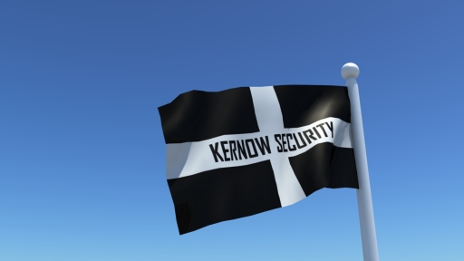 Local security companies in Cornwall