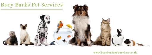 Bury Barks Pet Services