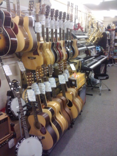 Selection of Acoustic Guitars
