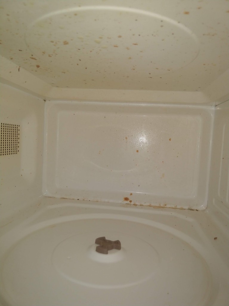 Fair & Certain Cleaning Care, LLC 8 Reiher Road, Apt A, Monroe, Orange