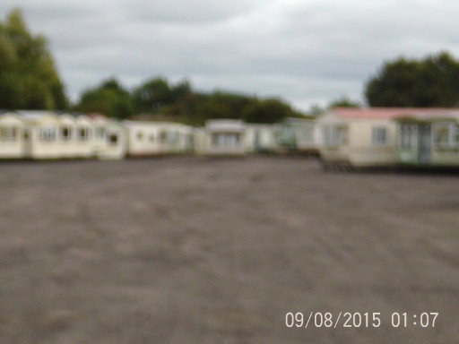 just a small view of our huge sales yard