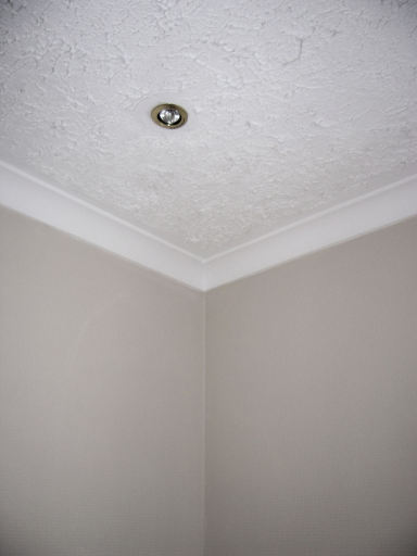 rough ceiling texturing