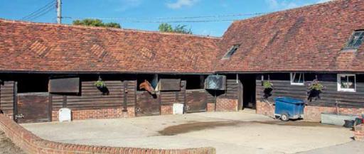 Livery in Dorking Surrey - 5 star service and best value for money