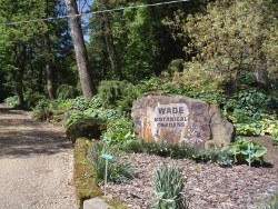 Wade & Gatton Nurseries & Botanical Gardens 1288 Gatton Rock Road ...