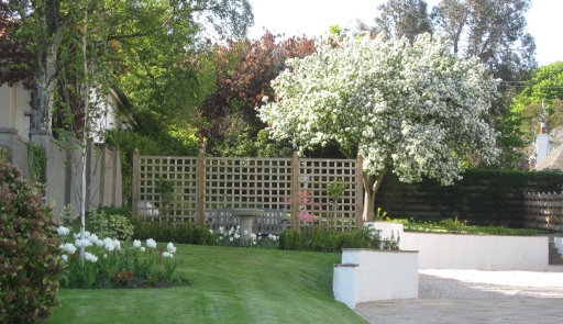 A garden in Spring