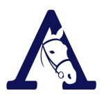 Horsham and Mid Sussex Equestrian Academy