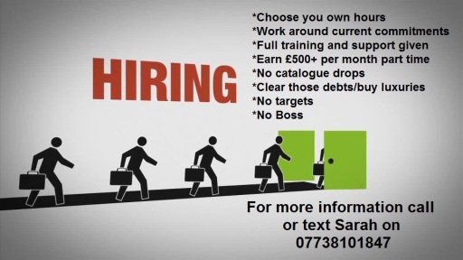 Earn money from home, around current commitments