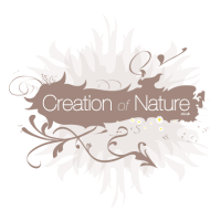 Creation of Nature