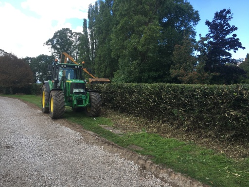 paddock hedge cutting