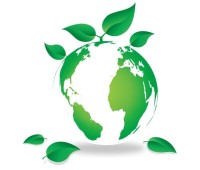 Architectural green display ltd