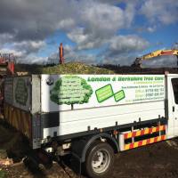 London & Berkshire Tree Care