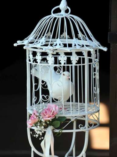 dove release cage