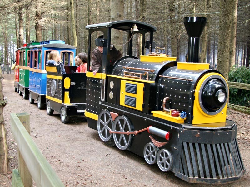 Sloans Christmas Tree Village 29876 Zone Rd, Bothwell, ON, N0P 1C0