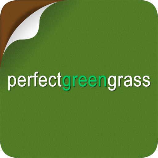 Perfect Green Grass