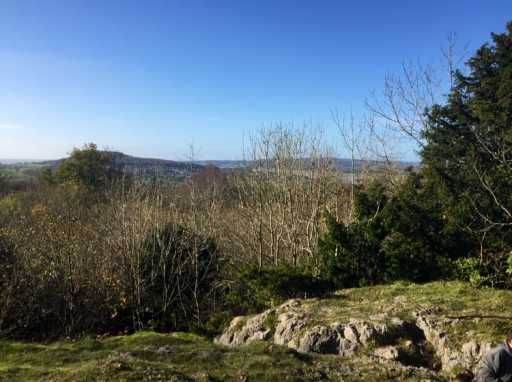 image1