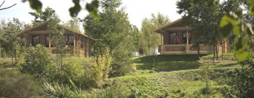 Luxury log cabins
