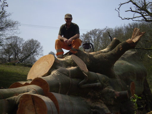 William Jones of Dukes Tree Surgeons