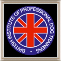 The South East London Dog Training Company