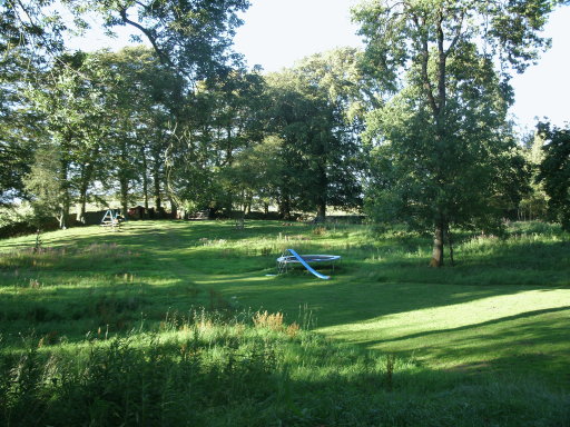 woodland garden at New Moor House