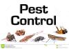 Pest Control Wollongong