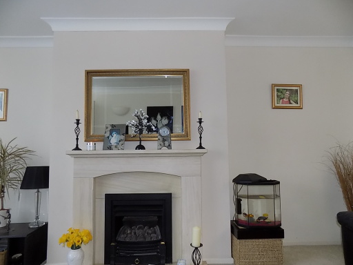 plastered and painted chimney breast with coving.