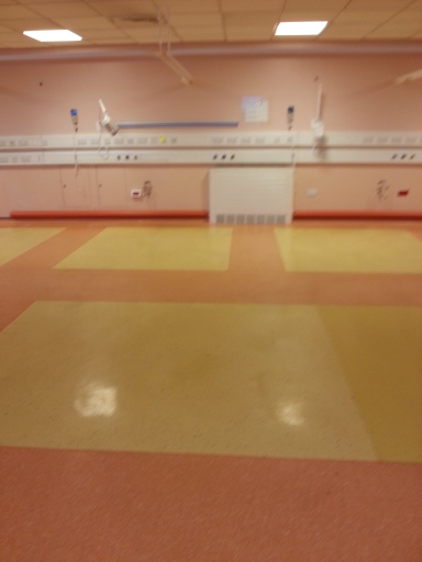 Maintain and Polish Floor