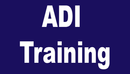 Driving Instructor Training Grade 6 Trainer