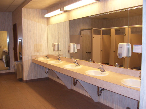 Washroom Cleaning