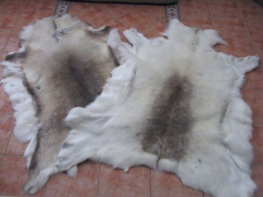 reindeer rugs