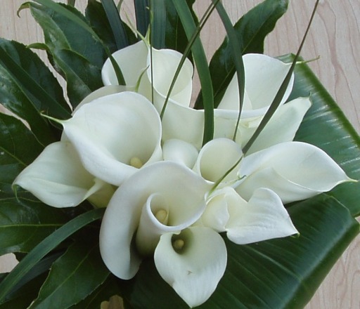 Bridal bouquet of Calla Lilies