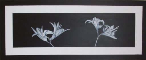 stunning day lillies,chocolate and cream