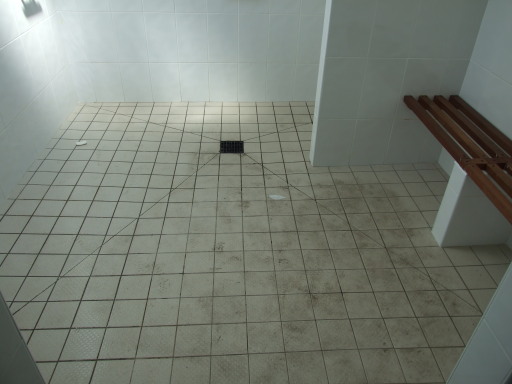 shower/wet room