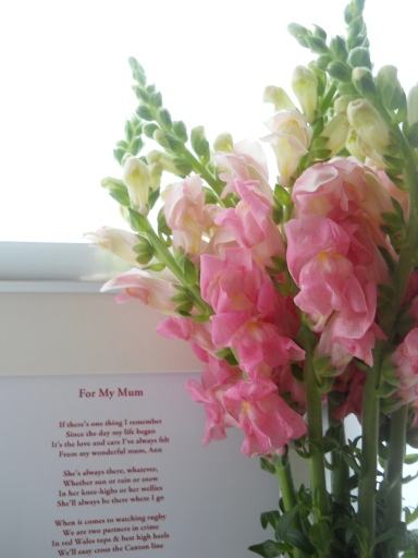 Mother's Day Poem