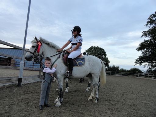 top quality ponys for sale