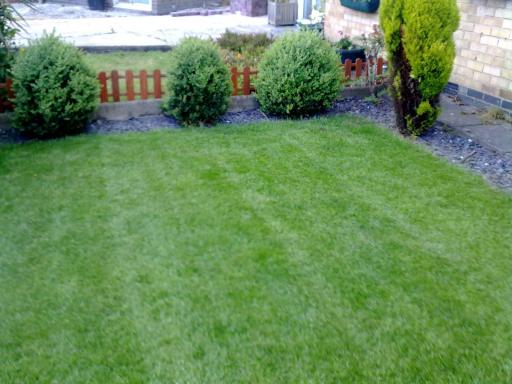 Look at the results. Proffessional lawn care is well worth it.