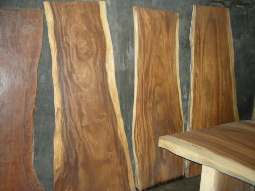 IndoGemstone.com | Petrified Wood, Acacia Wood Table Tops, Jungle Vines