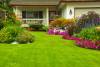 Growing Wild Lawn Care Inc.
