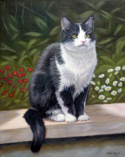 Pet portrait artists