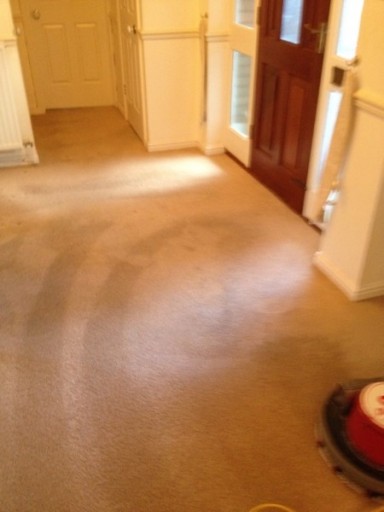 Super Clean Newport Domestic Carpet