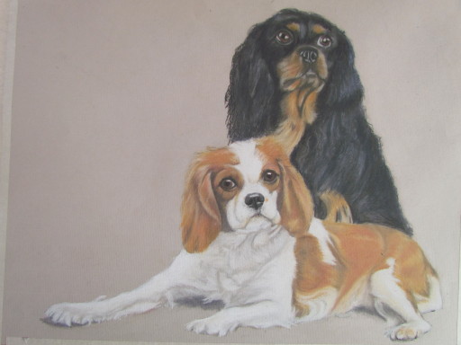 Cavalier King Charles Spaniels Recent commission in pastels