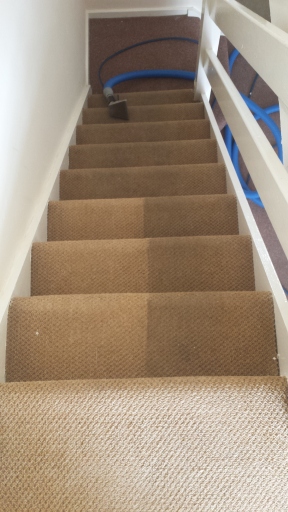 end of tenancy carpet clean